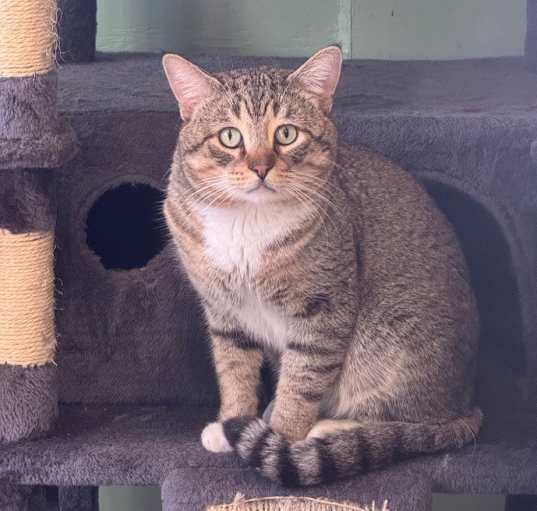 Photo of Stanley