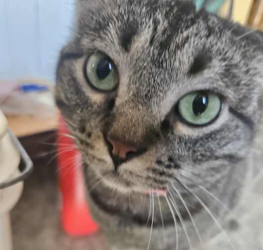 Photo of Little Bit
