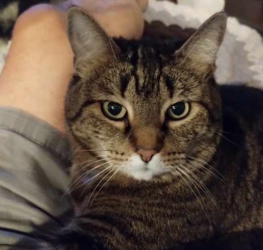Photo of Biggie