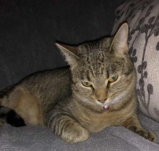 Photo of Mia