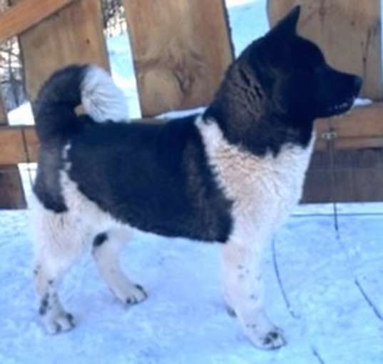 Photo of Roxy