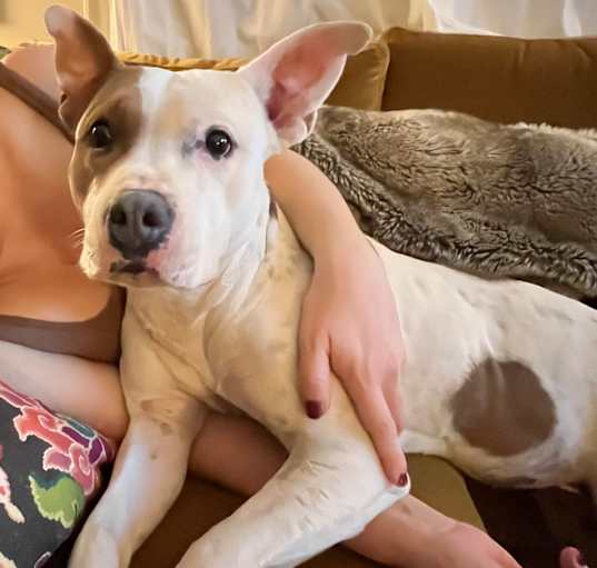 Photo of Betty