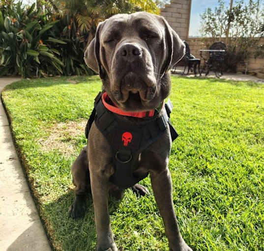 Photo of *** Gunther