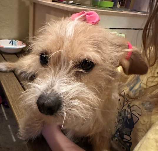 Photo of Mia
