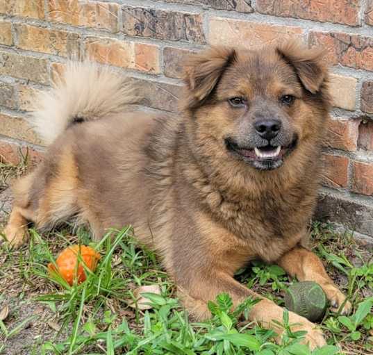 Photo of Oso