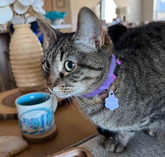 Photo of Gracily