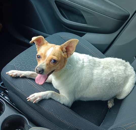 Photo of Penny