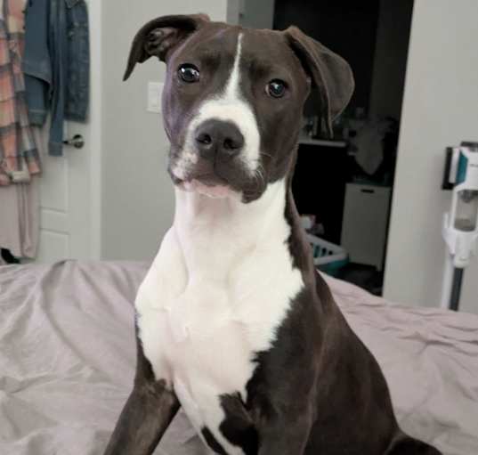 Photo of Leroy