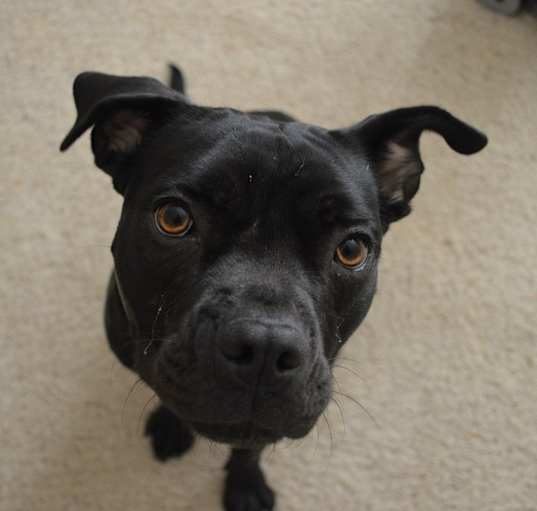Photo of Hope