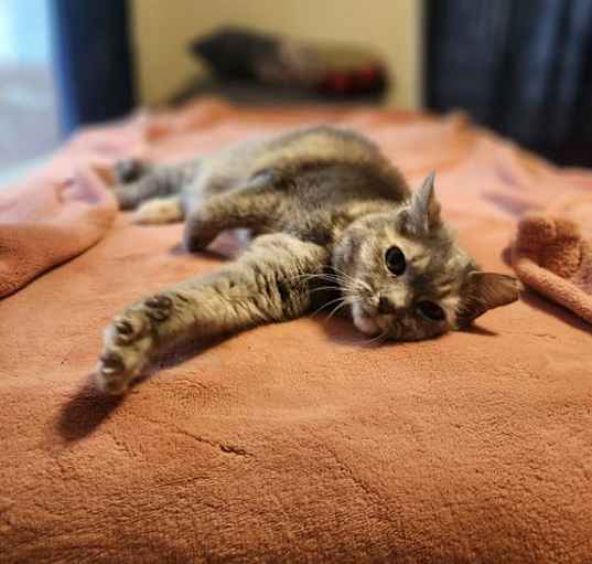 Photo of Princess