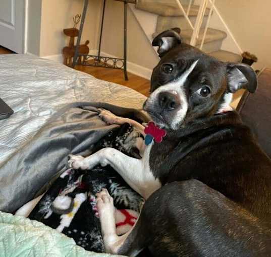 Photo of Susie