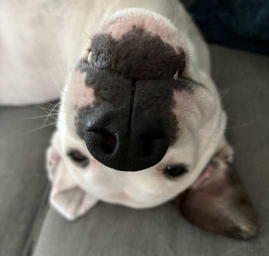 Photo of Zeus