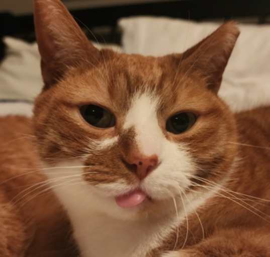Photo of Ernest