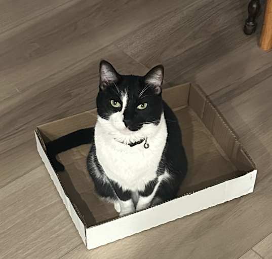 Photo of Ashes