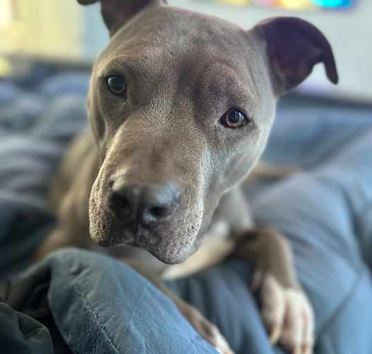 Photo of Draper