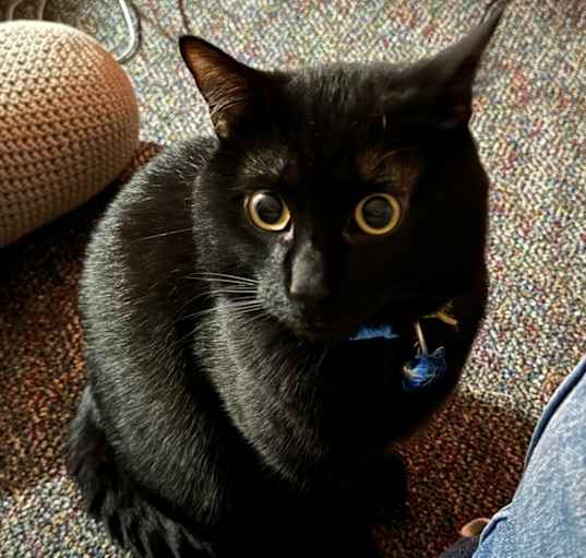 Photo of BOOGER