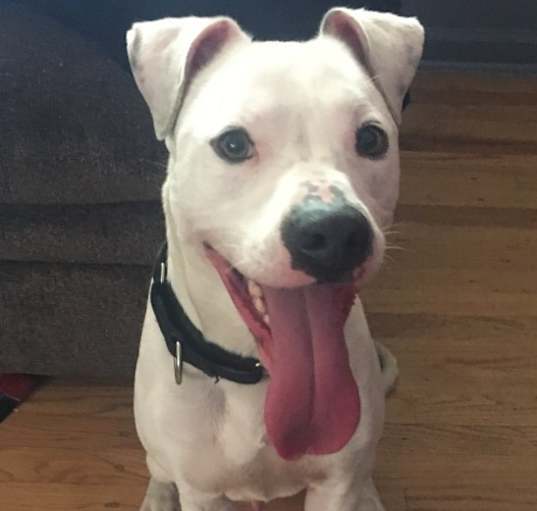 Photo of Cash
