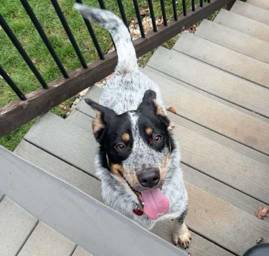 Photo of Trooper