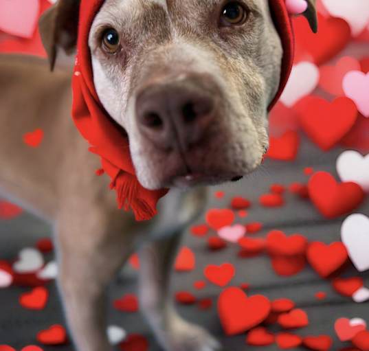 Photo of Blu
