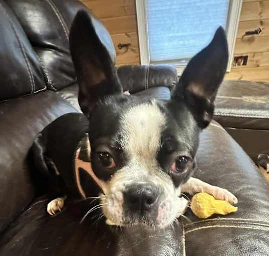 Photo of Skylar