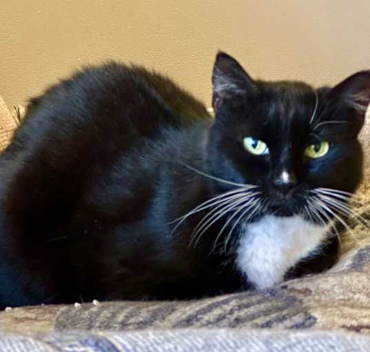 Photo of Felix