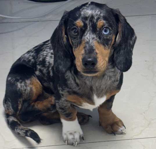 Photo of ATHENA