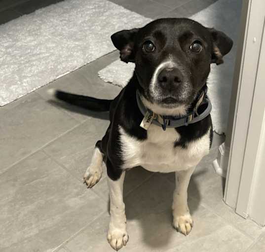Photo of Kiki