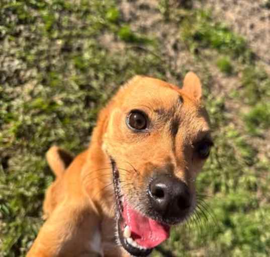 Photo of Buster