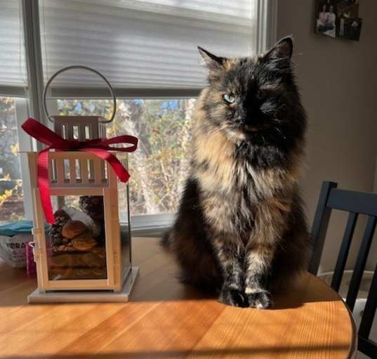 Photo of Macy