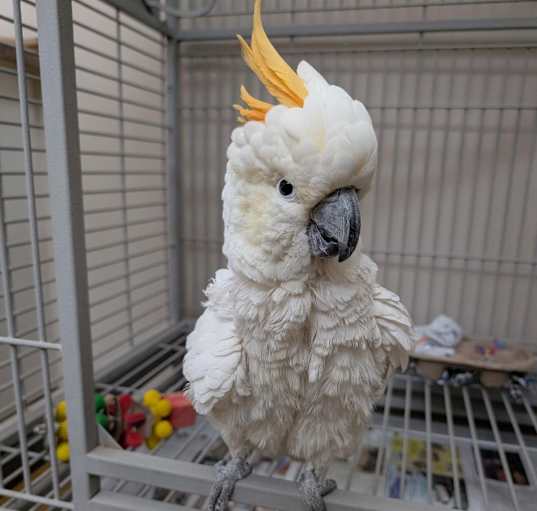 Photo of Sunny