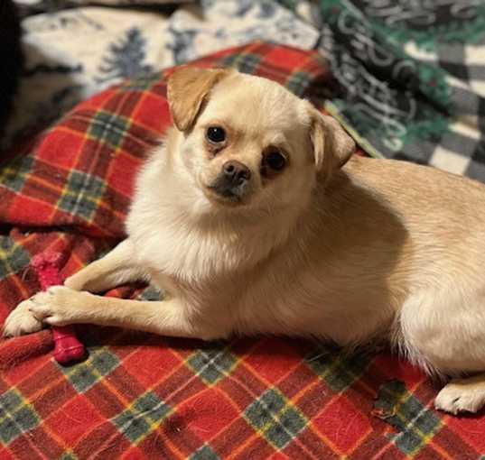 Photo of Lyla