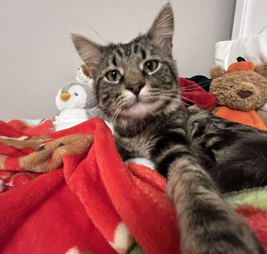 Photo of choochi