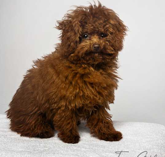 Photo of Ezekiel