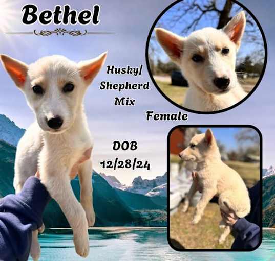 Photo of Bethel