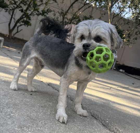 Photo of Bama
