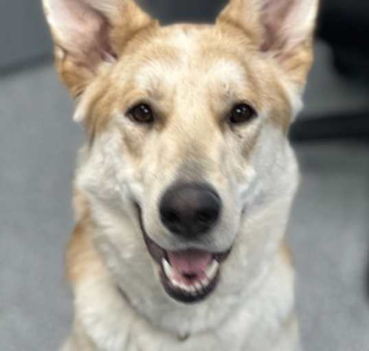 Photo of Ruby