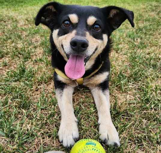 Photo of Kilo