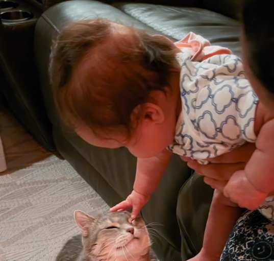 Photo of Frank and Ava