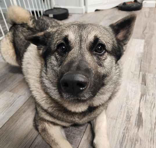 Photo of Revan