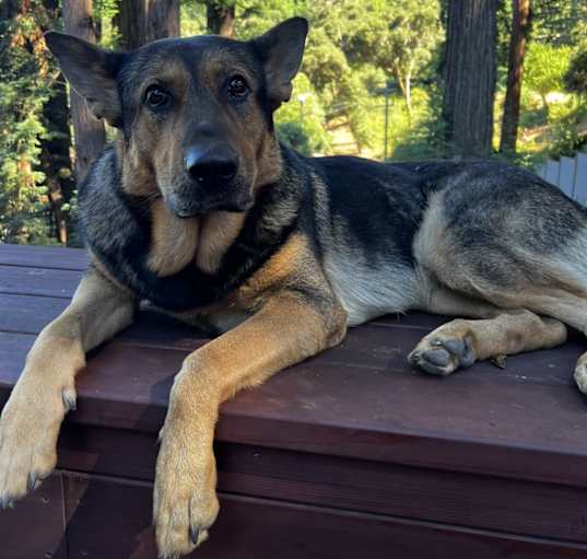 Photo of Kanja
