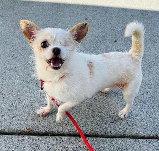 Photo of Charlie