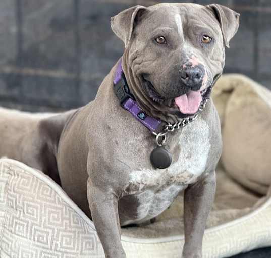 Photo of Phoenix