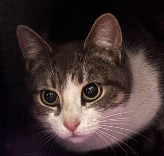 Photo of Lilly Avery