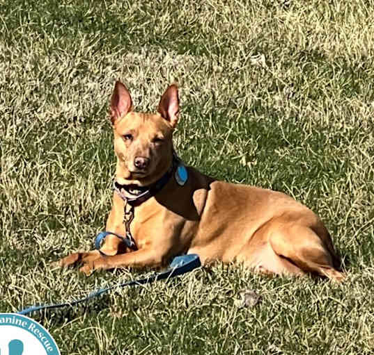 Photo of Dixie 030125