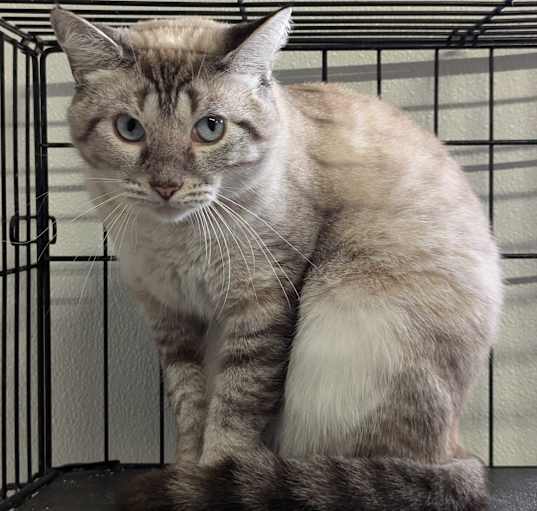 Photo of Bluie