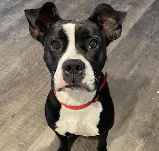 Photo of Diamond