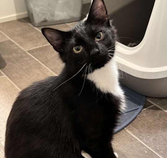 Photo of Wilbur