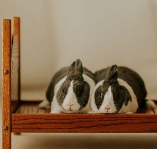 Photo of Loona
