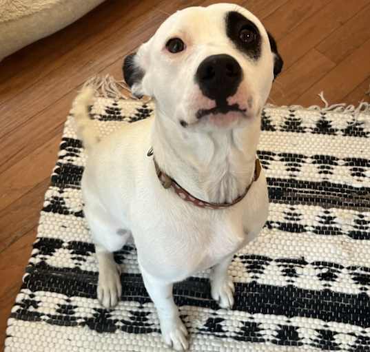 Photo of Darla