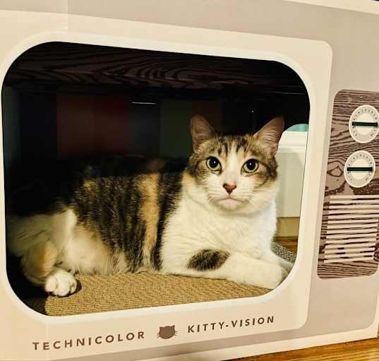 Photo of Sam